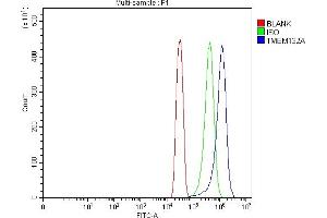 Flow Cytometry analysis of SiHa cells using anti-TMEM132A antibody (ABIN7601539). (TMEM132A anticorps  (AA 38-279))