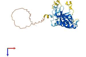 AlphaFold protein structure predicition of Human Recombinant TPRG1L Protein, UniprotID Q5T0D9