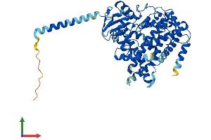 AlphaFold protein structure predicition of Human Recombinant CYP1B1 Protein, UniprotID Q16678