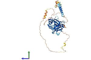 AlphaFold protein structure predicition of Mouse Recombinant Syt6 Protein, UniprotID Q9R0N8