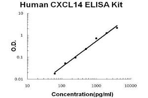 Human CXCL14 PicoKine ELISA Kit standard curve (CXCL14 Kit ELISA)