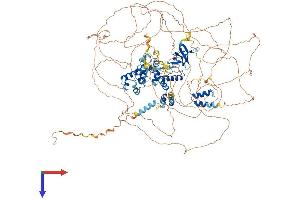 AlphaFold protein structure predicition of Human Recombinant SASH1 Protein, UniprotID O94885