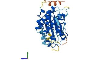 AlphaFold protein structure predicition of Human Recombinant CDK3 Protein, UniprotID Q00526