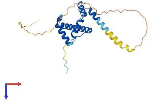 AlphaFold protein structure predicition of Human Recombinant TAF11 Protein, UniprotID Q15544