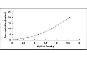 Typical standard curve (WISP2 Kit ELISA)