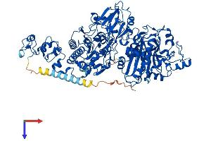 AlphaFold protein structure predicition of Human Recombinant ENPP3 Protein, UniprotID O14638