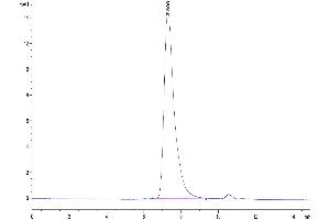 The purity of Biotinylated Cynomolgus MSLN is greater than 95 % as determined by SEC-HPLC.