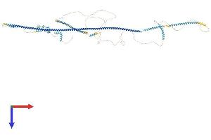 AlphaFold protein structure predicition of Human Recombinant OFD1 Protein, UniprotID O75665