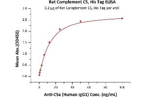 Immobilized Rat Complement C5, His Tag (ABIN6731339,ABIN6809876) at 2 μg/mL (100 μL/well) can bind Anti-C5a (Human IgG1) with a linear range of 0.