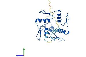 AlphaFold protein structure predicition of Human Recombinant ZNF833P Protein, UniprotID Q6ZTB9