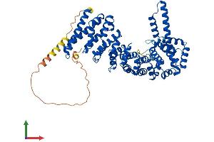 AlphaFold protein structure predicition of Mouse Recombinant Ctnnbl1 Protein, UniprotID Q9CWL8