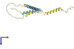 AlphaFold protein structure predicition of Human Recombinant EVA1A Protein, UniprotID Q9H8M9
