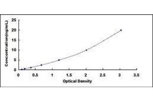 Complement Component Receptor 1 (CD35) (CR1) ELISA Kit