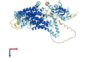 AlphaFold protein structure predicition of Human Recombinant CLCN3 Protein, UniprotID P51790