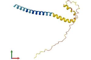 AlphaFold protein structure predicition of Mouse Recombinant Sncb Protein, UniprotID Q91ZZ3