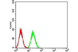 Flow cytometric analysis of Hela cells using IghA1 mouse mAb (green) and negative control (red). (IGHA1 anticorps  (AA 207-353))