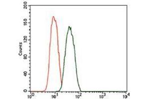 Flow cytometric analysis of A549 cells using PDE1B mouse mAb (green) and negative control (red).