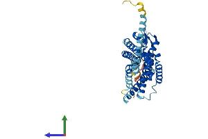 AlphaFold protein structure predicition of Human Recombinant P2RY1 Protein, UniprotID P47900