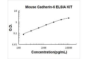Typical Standard Curve