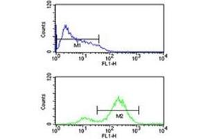 anti-Eukaryotic Translation Initiation Factor 4E (EIF4E) antibody