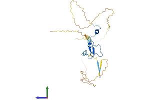 AlphaFold protein structure predicition of Human Recombinant PHF13 Protein, UniprotID Q86YI8