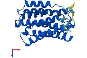 AlphaFold protein structure predicition of Mouse Recombinant Kdelr1 Protein, UniprotID Q99JH8