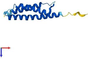 AlphaFold protein structure predicition of Human Recombinant AHSP Protein, UniprotID Q9NZD4