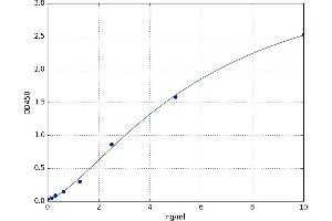 A typical standard curve (COX IV Kit ELISA)