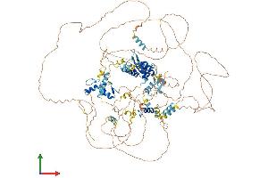 AlphaFold protein structure predicition of Mouse Recombinant Tshz1 Protein, UniprotID Q5DTH5