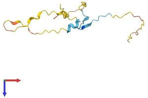 AlphaFold protein structure predicition of Human Recombinant PRR15 Protein, UniprotID Q8IV56