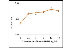 Activity Assay (AcA) image for Platelet Derived Growth Factor Subunit B (PDGFB) (Active) protein (ABIN5509325)