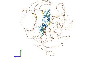 AlphaFold protein structure predicition of Human Recombinant RBM6 Protein, UniprotID P78332