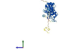 AlphaFold protein structure predicition of Mouse Recombinant Nfkbia Protein, UniprotID Q9Z1E3