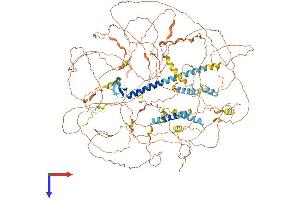AlphaFold protein structure predicition of Human Recombinant ATN1 Protein, UniprotID P54259