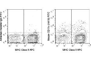 C57Bl/6 splenocytes were stained with APC Anti-Mouse MHC Class II (ABIN6961377) and 0.
