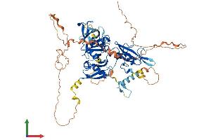 AlphaFold protein structure predicition of Mouse Recombinant Grb10 Protein, UniprotID Q60760