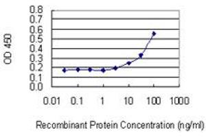 anti-Vanin 3 (VNN3) (AA 175-274) antibody