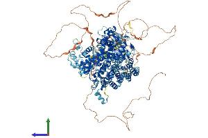 AlphaFold protein structure predicition of Human Recombinant SOS2 Protein, UniprotID Q07890