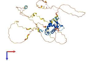 AlphaFold protein structure predicition of Human Recombinant FOXJ1 Protein, UniprotID Q92949