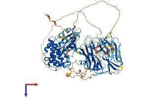 AlphaFold protein structure predicition of Mouse Recombinant Map4k5 Protein, UniprotID Q8BPM2