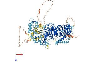 AlphaFold protein structure predicition of Human Recombinant DGKB Protein, UniprotID Q9Y6T7