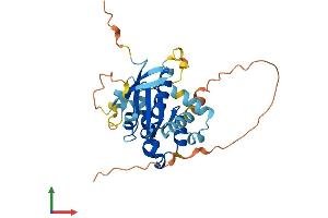 AlphaFold protein structure predicition of Human Recombinant RAB40C Protein, UniprotID Q96S21