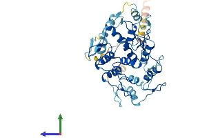 AlphaFold protein structure predicition of Human Recombinant ZNF260 Protein, UniprotID Q3ZCT1