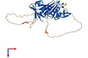 AlphaFold protein structure predicition of Mouse Recombinant Rad9a Protein, UniprotID Q9Z0F6