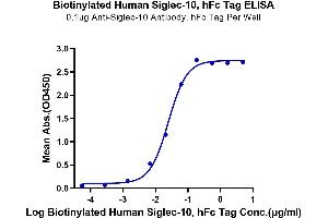 Immobilized Anti-Siglec-10 Antibody, hFc Tag at 1 μg/mL (100 μL/well) on the plate.