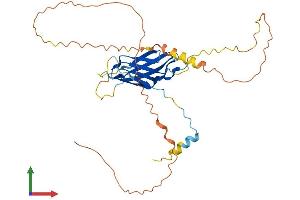 AlphaFold protein structure predicition of Mouse Recombinant Fndc8 Protein, UniprotID Q9D2H8
