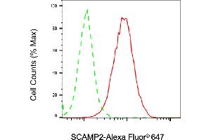 Flow cytometric analysis of SCAMP2 expression in HAP-1 cells using SCAMP2 antibody (ABIN7800289), 1:2,000). (SCAMP2 anticorps)