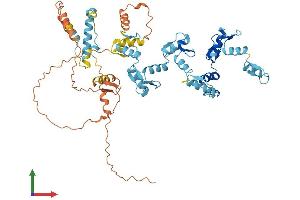 AlphaFold protein structure predicition of Human Recombinant ZNF426 Protein, UniprotID Q9BUY5
