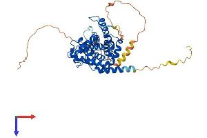 AlphaFold protein structure predicition of Human Recombinant CCNE1 Protein, UniprotID P24864