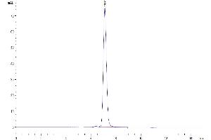 The purity of Mouse MCEMP1 is greater than 95 % as determined by SEC-HPLC.